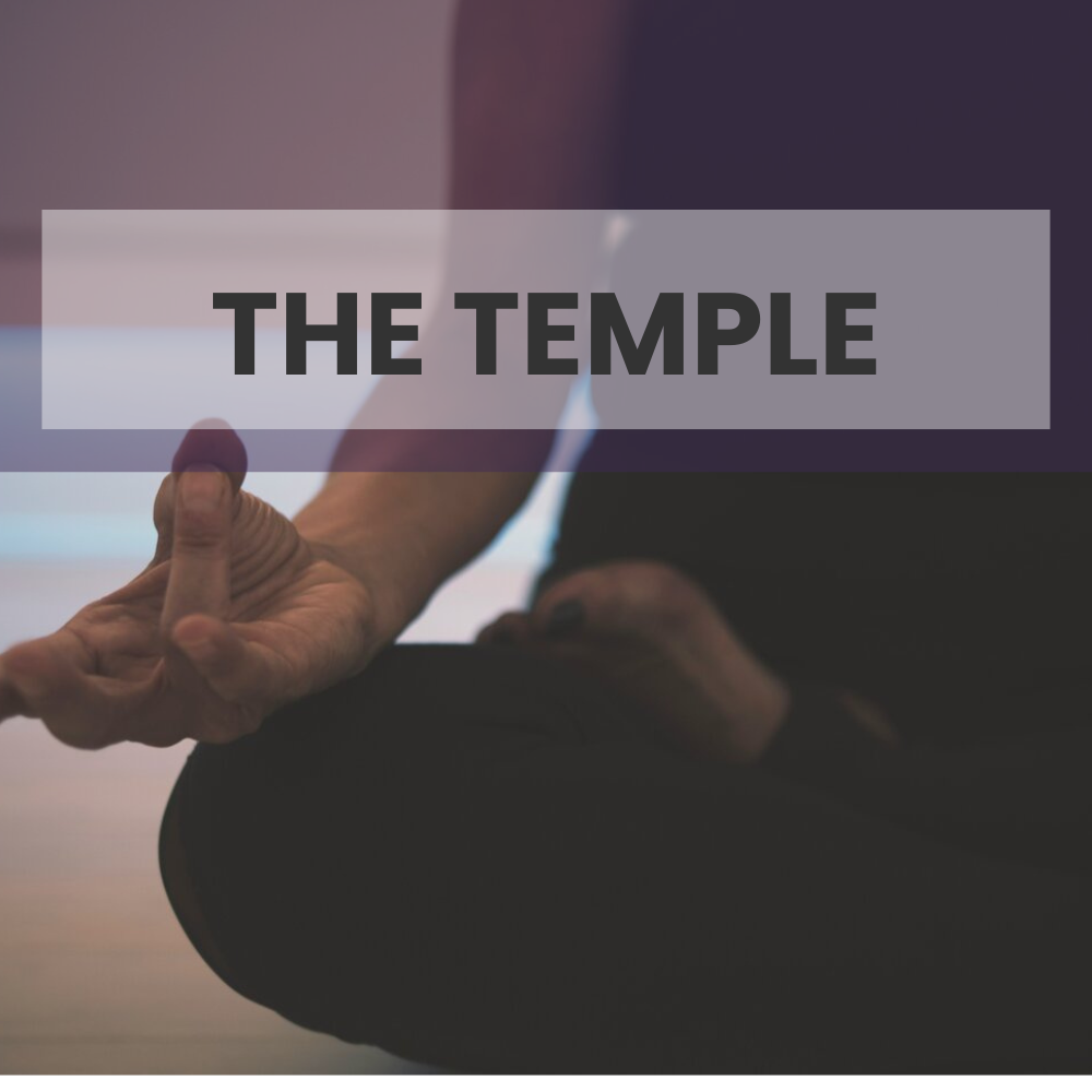 Embodied Goddess. The art of physical excellence. Honor your vessel through aesthetic rituals and the high-vibration worship of your form.