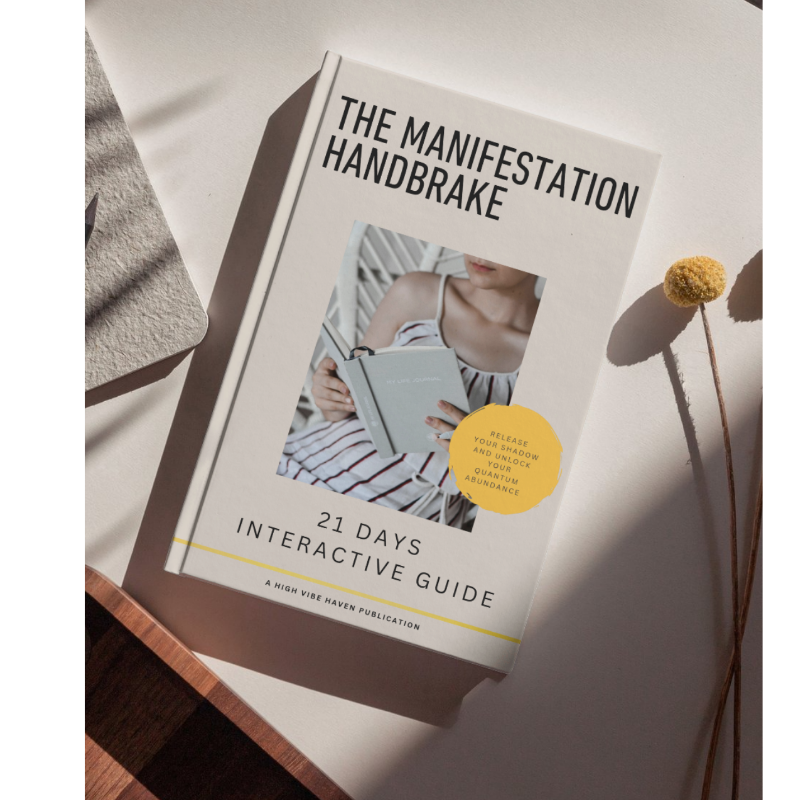 The manifestation handbrake guide workbook cover