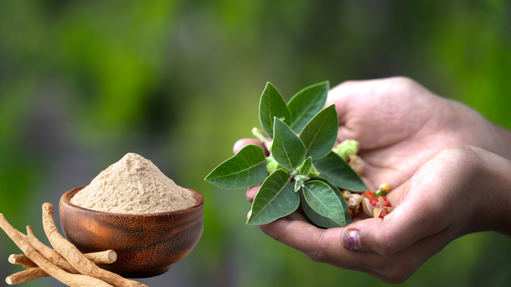 Ashwagandha-the-grounding-plant